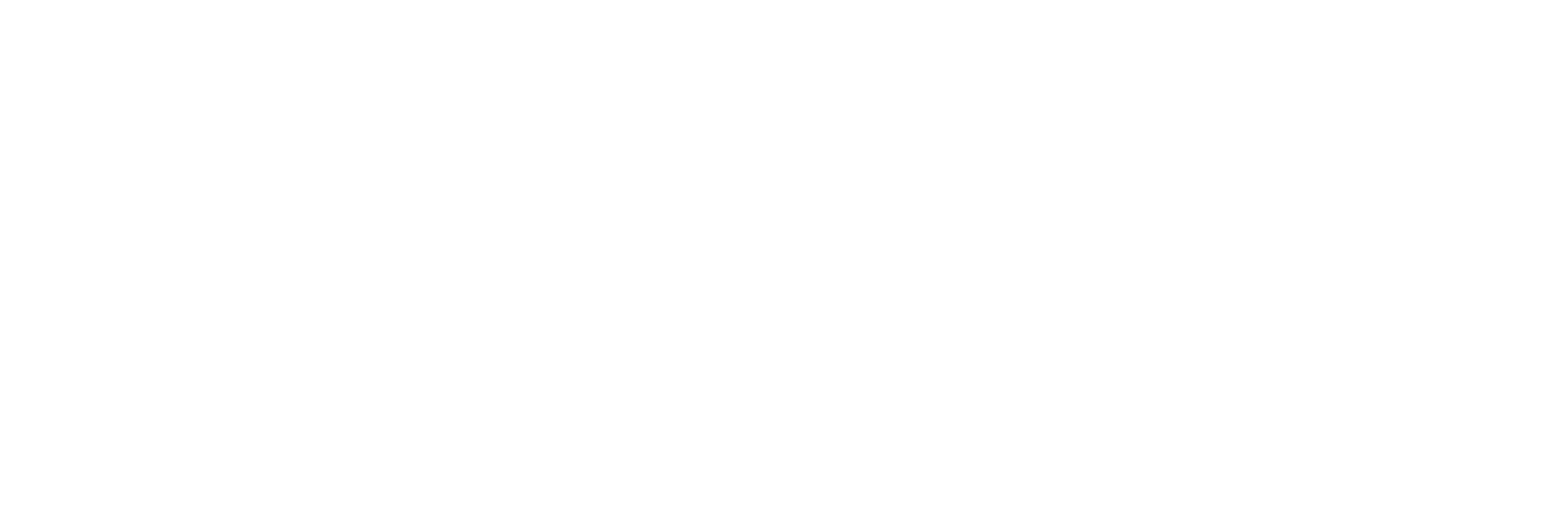 McElligotts